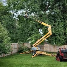 Best Emergency Tree Removal  in Gateway, FL